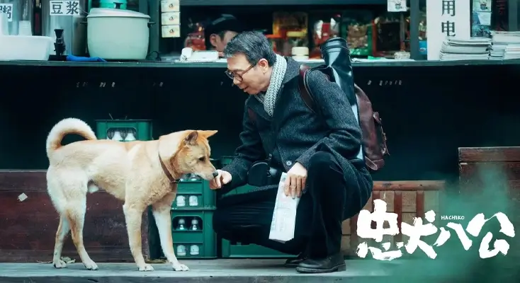 解除b站区域限制图解